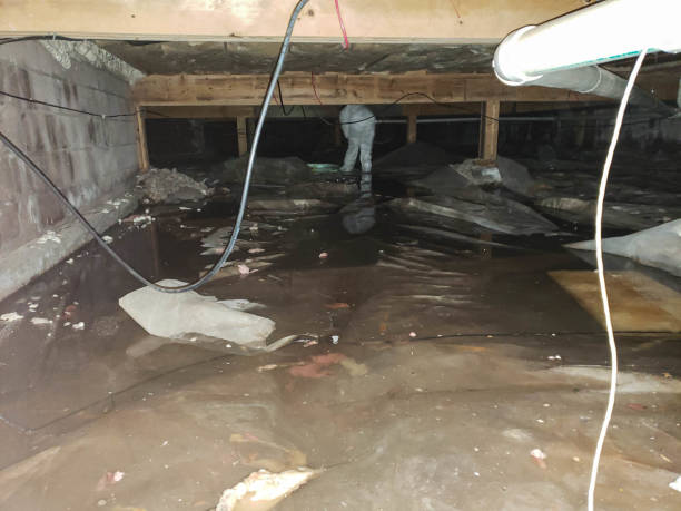 Best Commercial Water Damage Restoration in Woodstock, AL